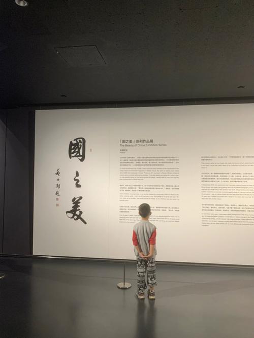 上海美术馆纪录片