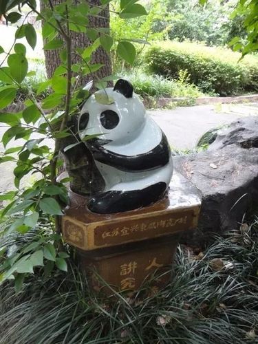 天津动物园熊猫纪念品
