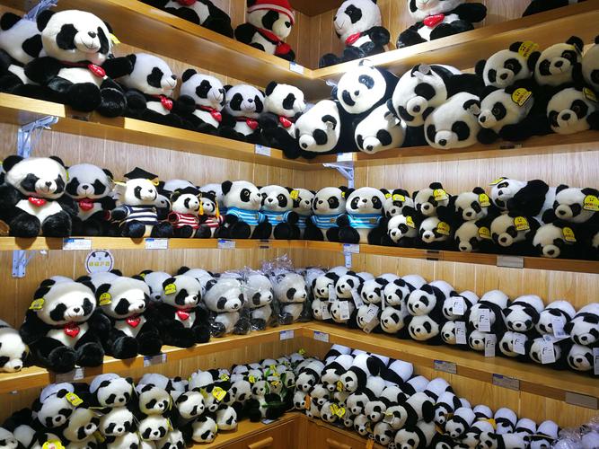 成都哪里买熊猫纪念品的相关图片